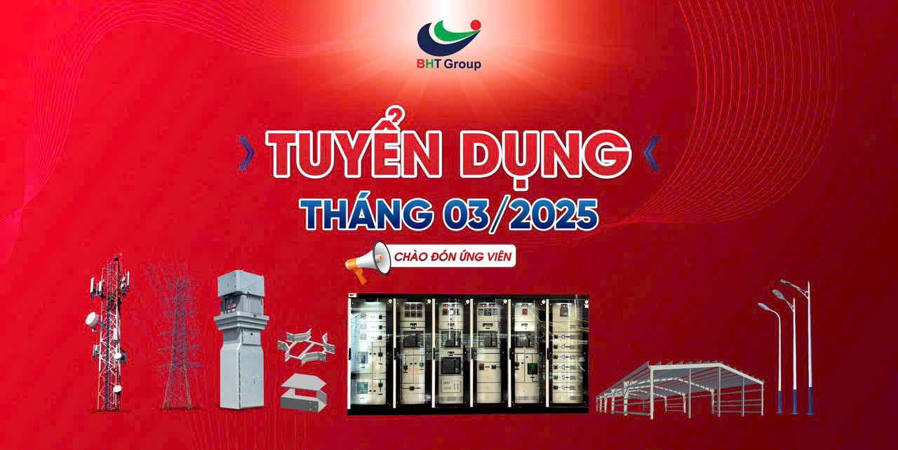 lĩnh vực hoạt động